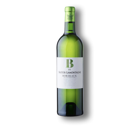 Bordeaux Blanc 2023 | B de Bastor | Rives et Vins Bordeaux Blanc 2023 | B de Bastor | Rives et Vins