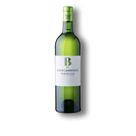 Bordeaux Blanc 2023 | B de Bastor | Rives et Vins