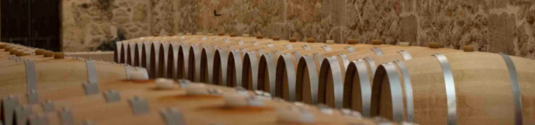 Vin de Bordeaux | Crémant de Bordeaux | Rives et Vins