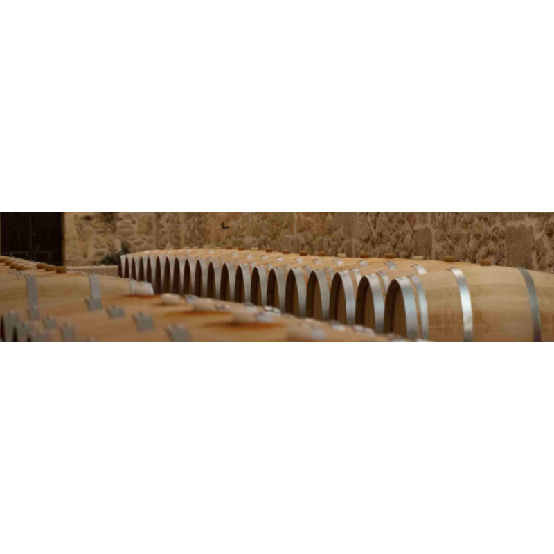 Vin de Bordeaux | Crémant de Bordeaux | Rives et Vins