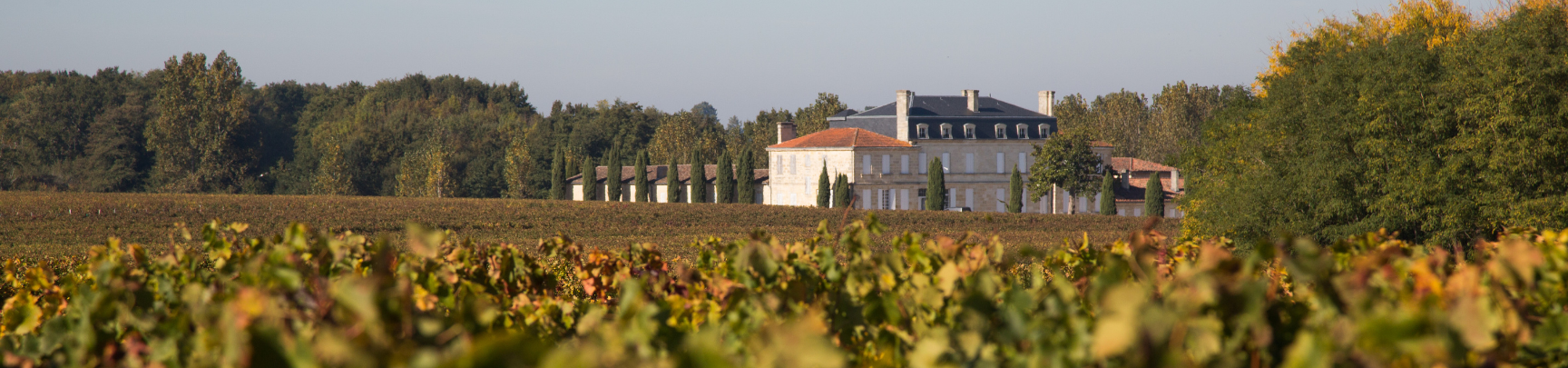 Nos Domaines Viticoles à Bordeaux | Rives et Vins