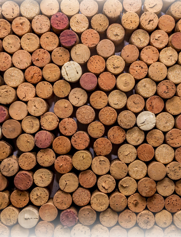 Guide des vins de Bordeaux : tout savoir simplement sur leur histoire, les appellations, les cépages emblématiques et les crus d’exception.